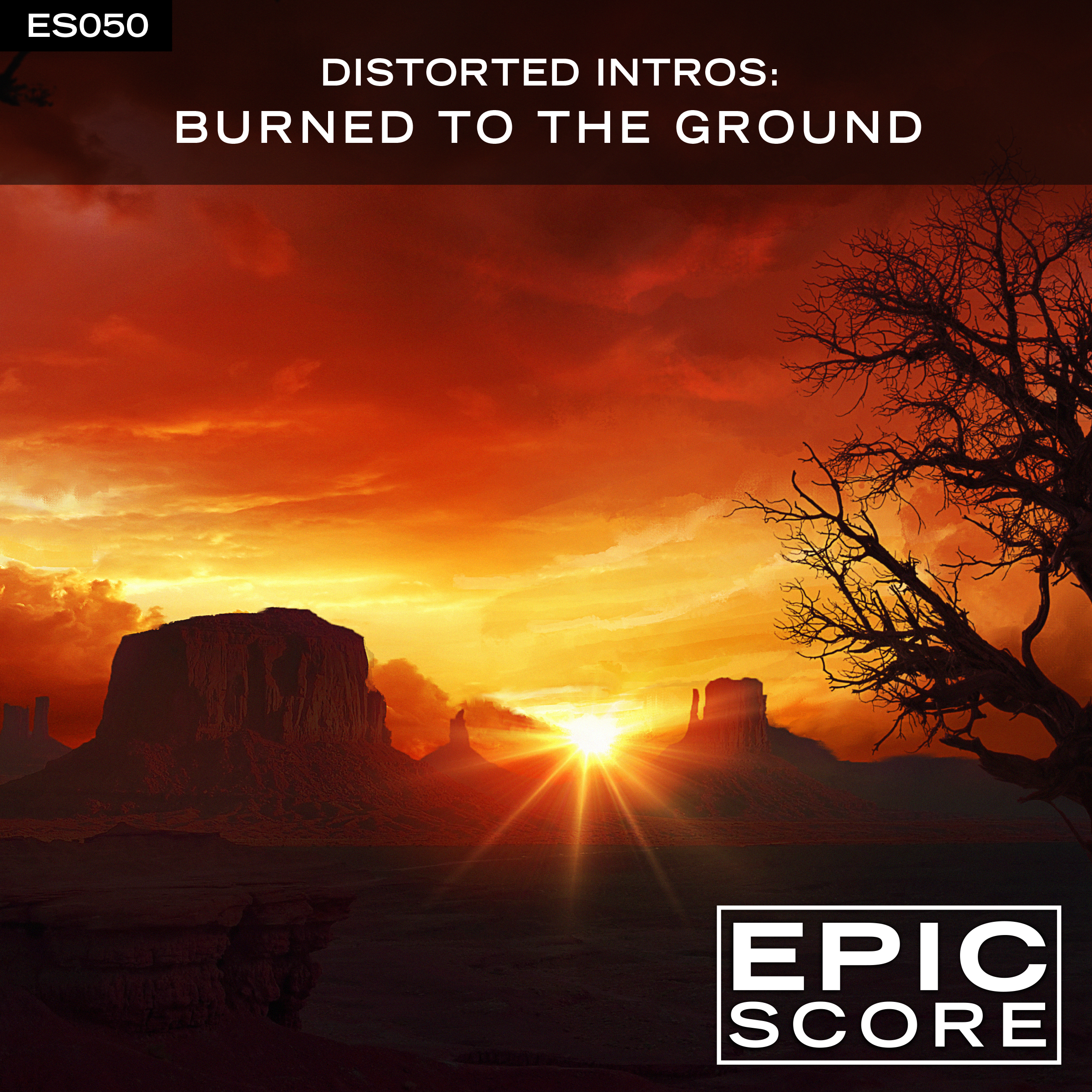 distorted intros: burned to the ground 표지