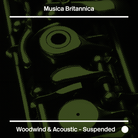 Woodwind & Acoustic - Suspended 표지