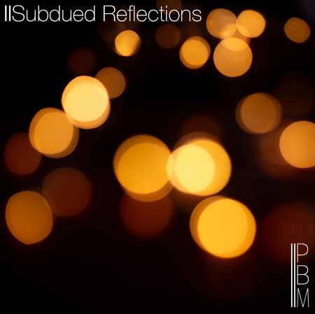 ESL-PBM031 Subdued Reflections 표지