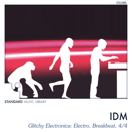 IDM - Noise That Became Music 표지