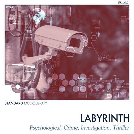 Labyrinth - Psychological, Crime & Thriller 표지