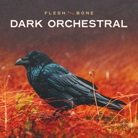 Dark Orchestral 표지