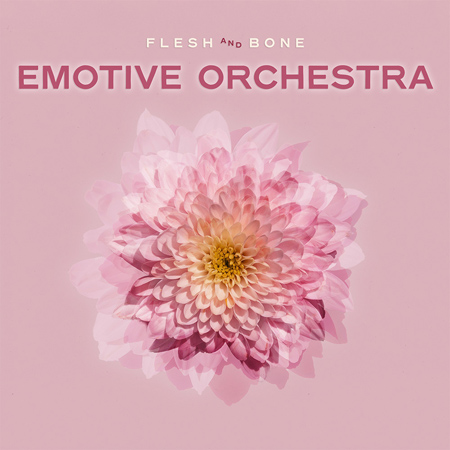 Emotive Orchestra 표지