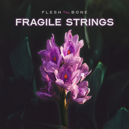 Fragile Strings 표지