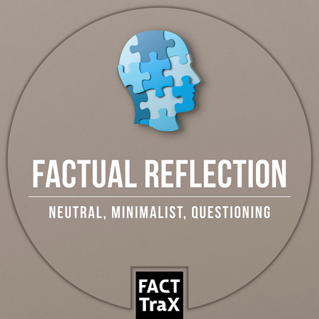 Factual Reflection 표지