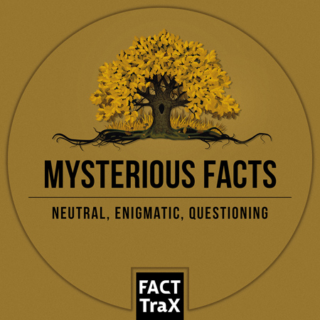 Mysterious Facts 표지