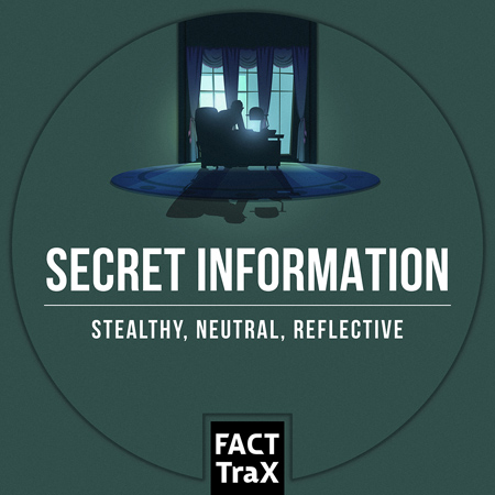 Secret Information 표지