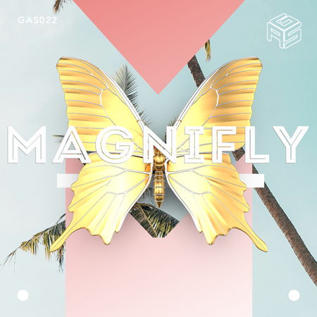 magnifly 표지