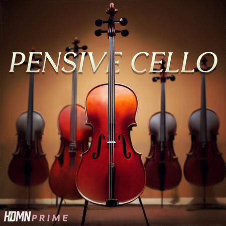 Pensive Cello 표지