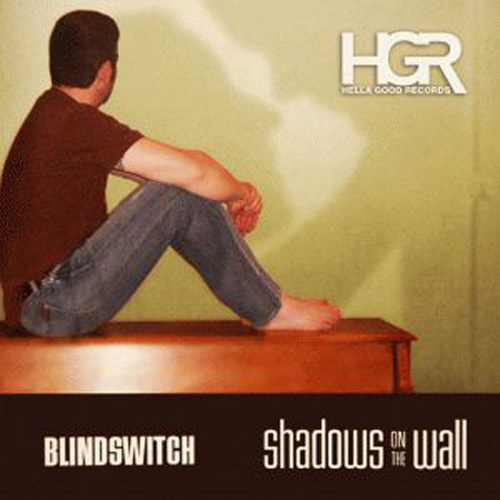 HGR 152 Blindswitch 표지