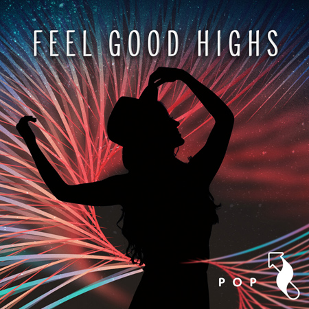 Pop: Feel Good Highs 표지