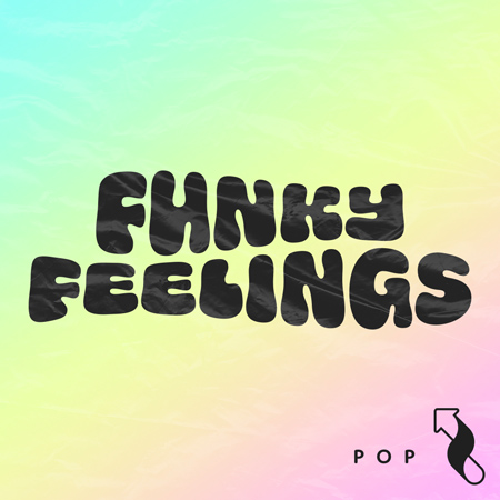 Pop: Funky Feelings 표지