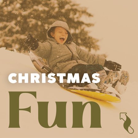 Christmas Fun! 표지