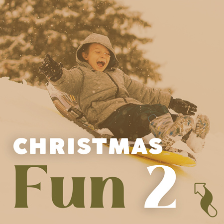 Christmas Fun! 2 표지