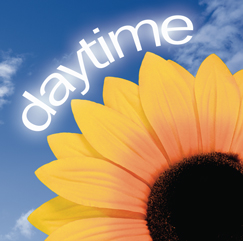 daytime 표지
