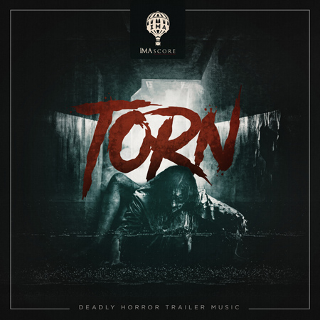 Torn 표지