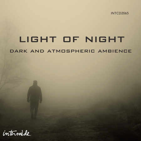 INTCD2065 LIGHT OF NIGHT 표지