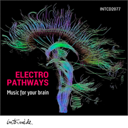 Electro Pathways 표지