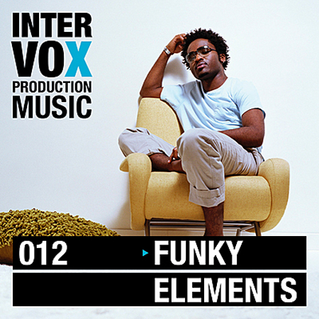 funky elements 표지