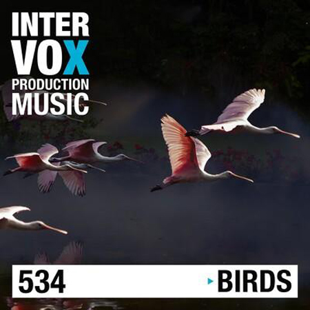 ivox534 Birds 표지