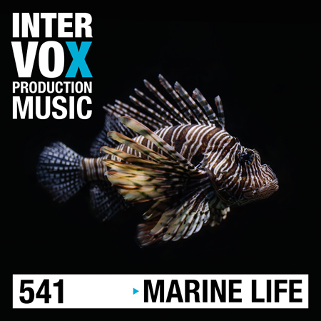 ivox541 Marine Life 표지