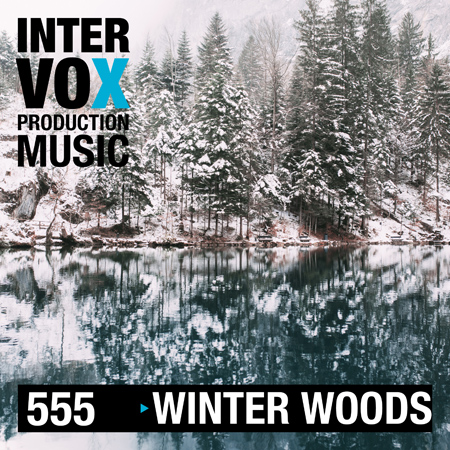 ivox555 Winter Woods 표지