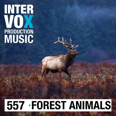 ivox557 Forest Animals 표지