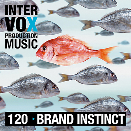 brand instinct 표지