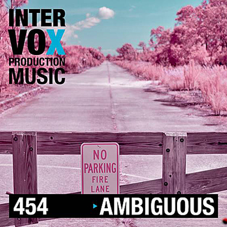 ambiguous 표지