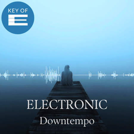 Electronic Downtempo 표지