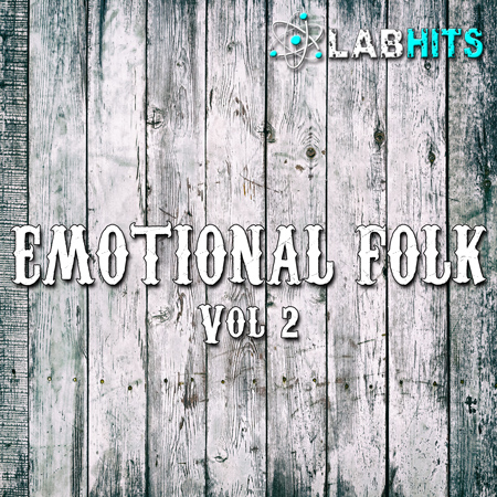 Emotional Folk Vol 2 표지