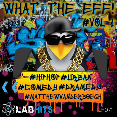 What The Eff Vol 1 표지