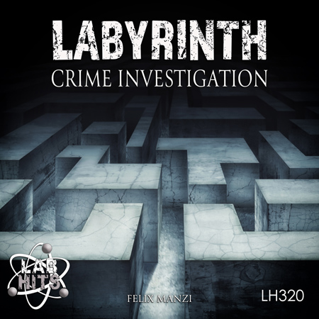 Labyrinth - Crime Investigation 표지