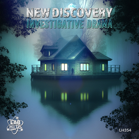 New Discovery - Investigative Drama 표지