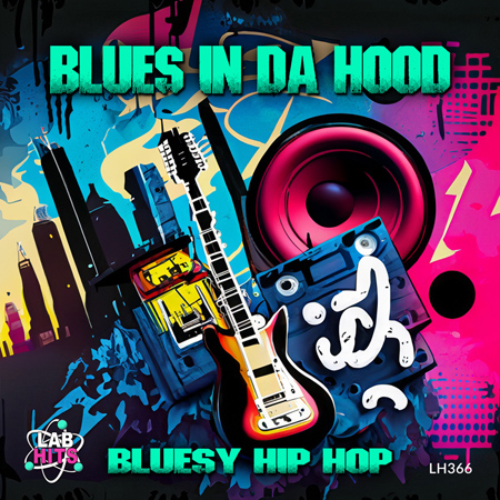 Blues In Da Hood - Bluesy Hip Hop 표지