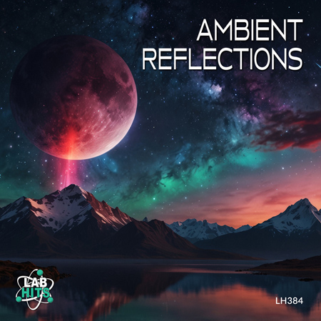Ambient Reflections 표지