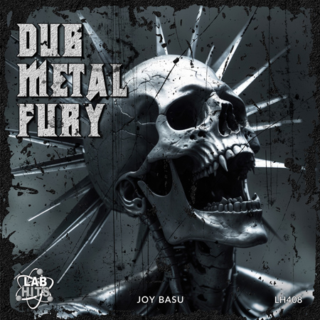 Dub Metal Fury 표지