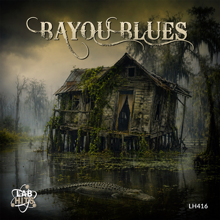 Bayou Blues 표지