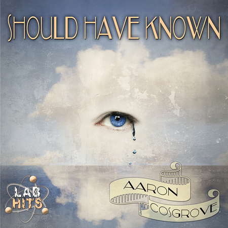 Should Have Known (Single) 표지