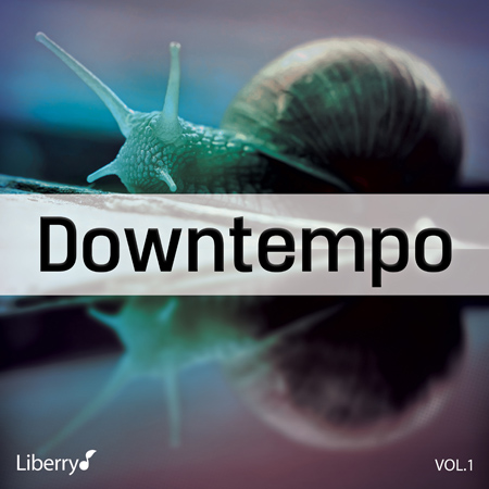 Downtempo - Vol. 1 표지