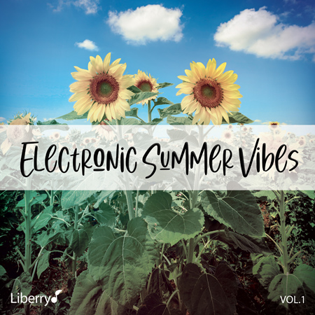 Electronic Summer Vibes - Vol. 1 표지