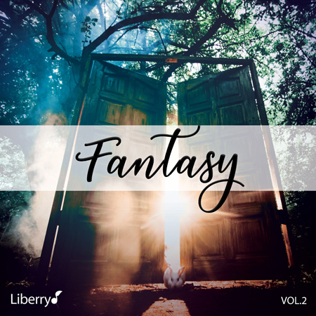 Fantasy - Vol. 2 표지