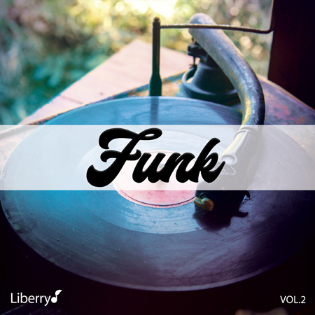 Funk - Vol. 2 표지