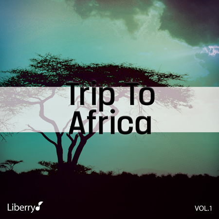 Trip To Africa - Vol. 1 표지
