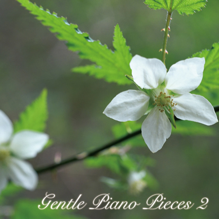 Gentle Piano Pieces 2 표지