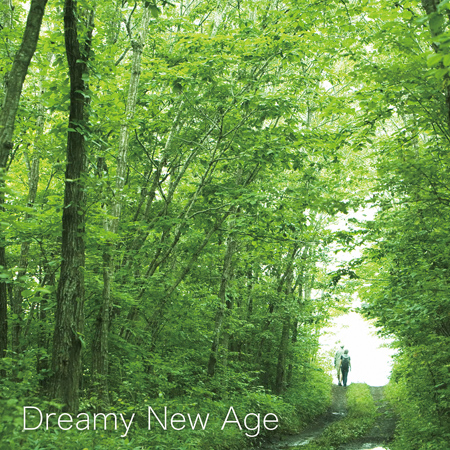 Dreamy New Age 표지
