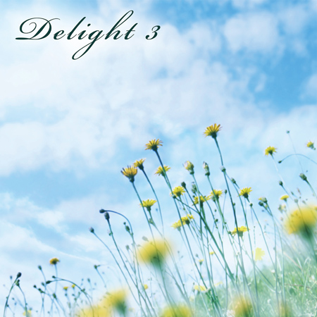Delight 3 표지