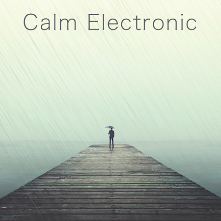 Calm Electronic 표지