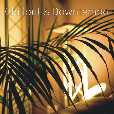 Chillout & Downtempo 표지