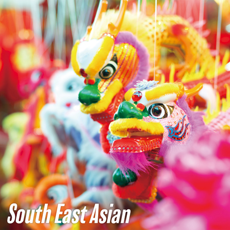 South East Asian 표지